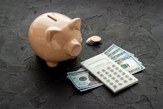 Spousal Support Image